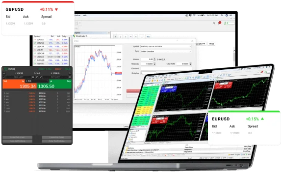 MetaTrader 5 Windows