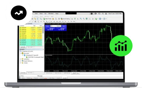 MetaTrader 5 Multi Terminal